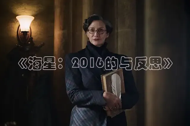 《海星：2016的与反思》